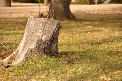 McStumpy