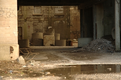 Cat in an alley in the Canada Malting Co.
