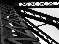 NIKON D70 -- f/9.5 -- 1/350s -- 50mm