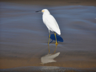 NIKON D90 -- f/5.6 -- 1/400s -- 200mm