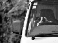 NIKON D90 -- f/5.6 -- 1/250s -- 200mm