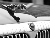 NIKON D90 -- f/4.5 -- 1/80s -- 50mm