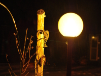 NIKON D90 -- f/2.0 -- 1/15s -- 50mm