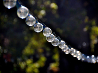 NIKON D90 -- f/5.6 -- 1/640s -- 200mm