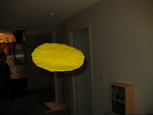 Frisbee in flight!
