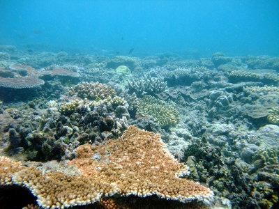 Great Barrier Reef