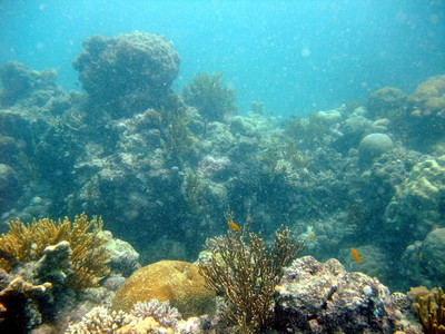 Great Barrier Reef