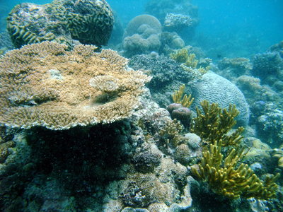 Great Barrier Reef