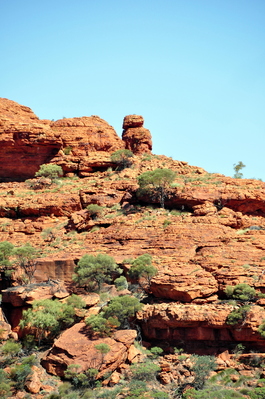 Rocks and trees and shrubs