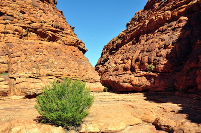 Rocks