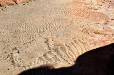 Evidence of the ancient seas that used to cover this part of Australia