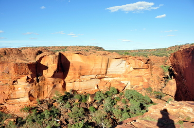 The canyon