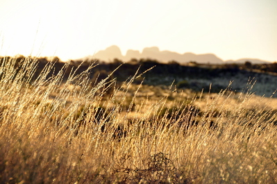 The sunset behind us with Kata Tjuta in the distance