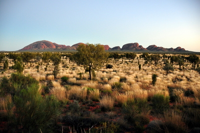 Kata Tjuta before sunrise