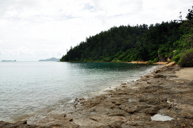 Landed on Whitsunday Island