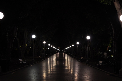 In Hyde Park