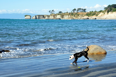 Jane playing in the waves