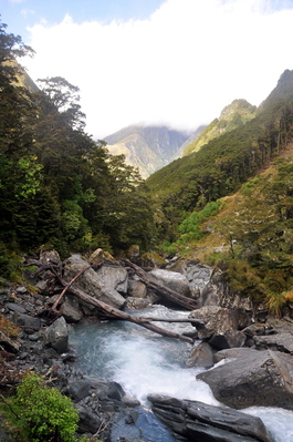 Water rushing down the mountain
