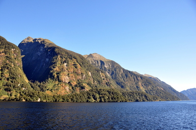 On Doubtful Sound