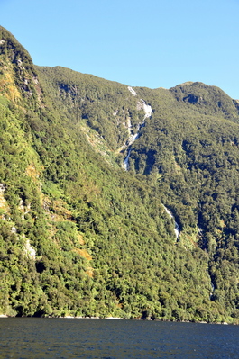 On Doubtful Sound