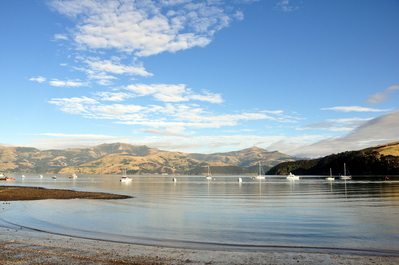 Harbour and beach in Akaroa