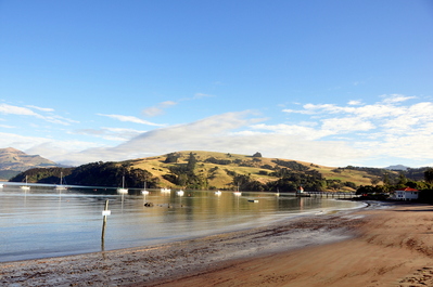 Harbour and beach in Akaroa