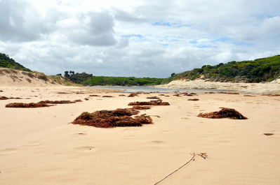 Lagoon on the beach