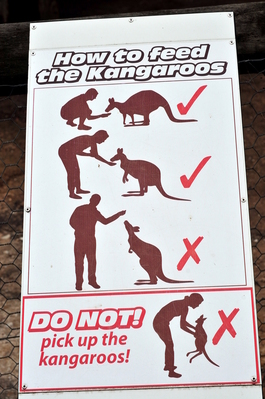 You're doing it wrong!