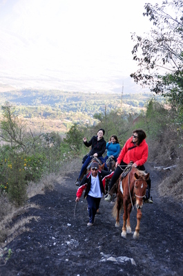 Some of our group took the horse option