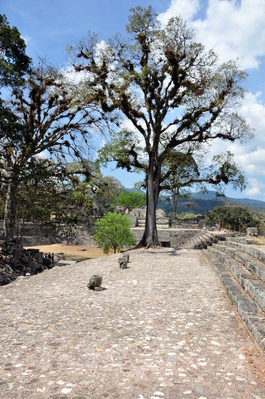 Ruins