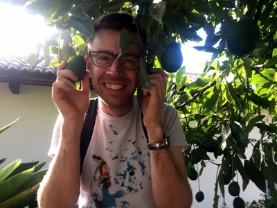 Avocados at Santo Domingo Monastery