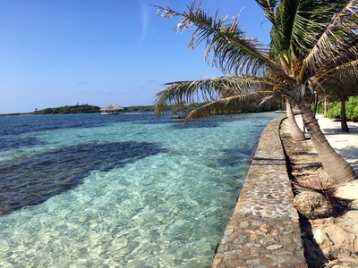 The ocean and the resort palapa