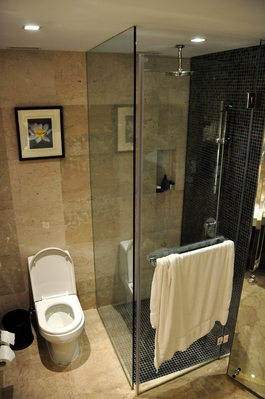 Fancy shower in my room