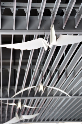 Hanging birds