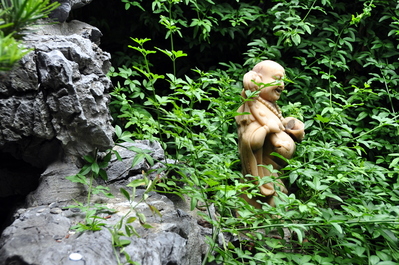 Buddha in the bush