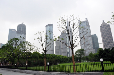 Financial Towers