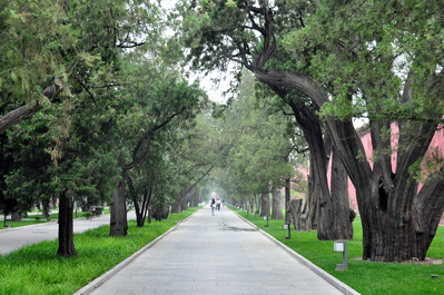 Quiet, peaceful park