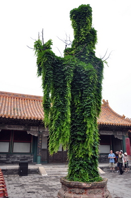 Plant sculpture