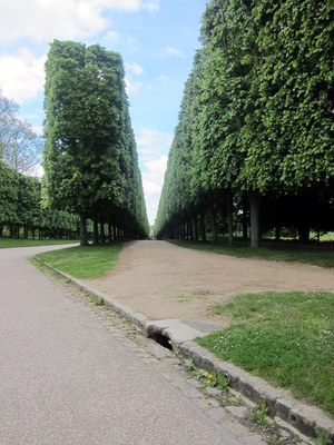 Endless trees
