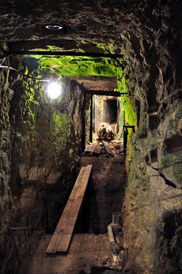 Old tunnel at Vimy