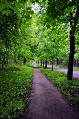 This path does not lead to the monument but it was nice to walk on