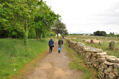 Walking