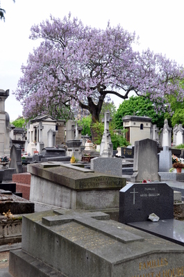 Montparnasse Cemetery