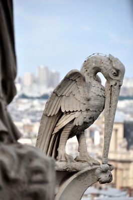 Cool pelican gargoyle