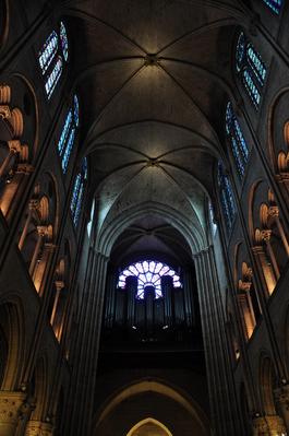 In Notre Dame