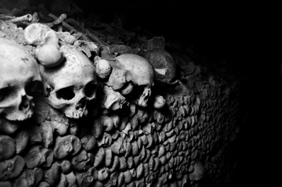 Bones