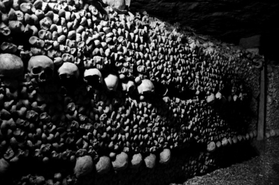 Bones