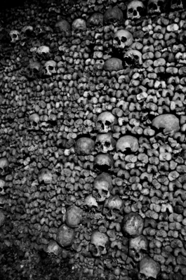 Bones