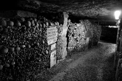 Bones
