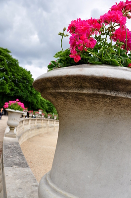 Jardin du Luxembourg